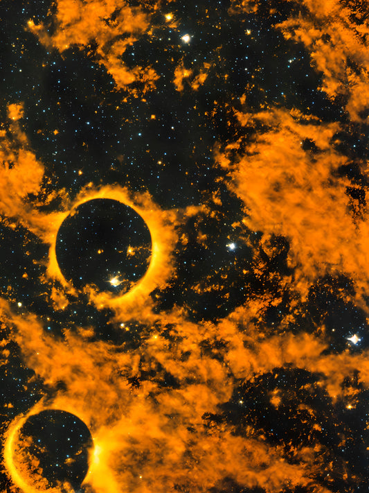 Taketo Muroi - The Silent Orders 7